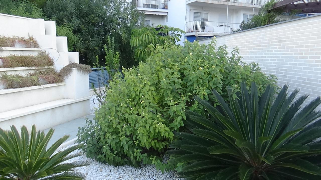 Aпартаменты В San Juan Playa Alicante Exterior foto